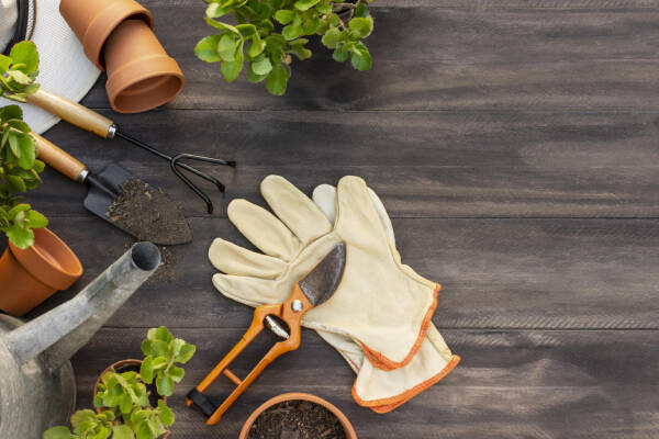 Gants de jardinage professionnels, Équipements de protection