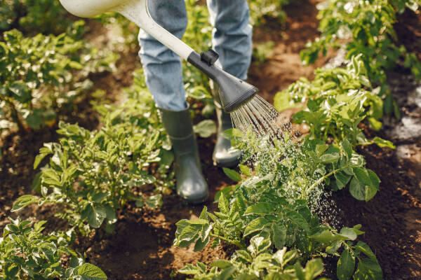 Landscapers work clothes